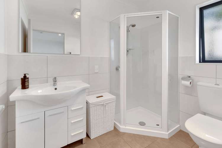 4 Barry Curtis Place Levin_18