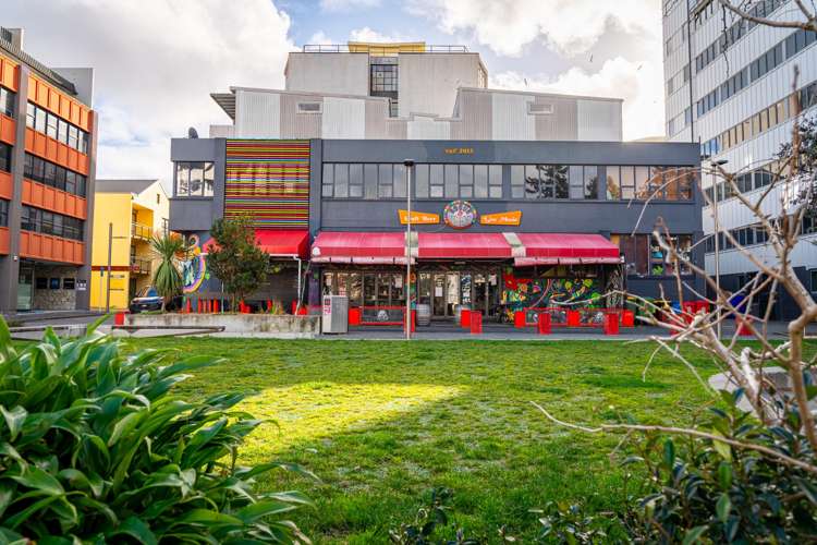 2/20 Garrett Street Te Aro_29