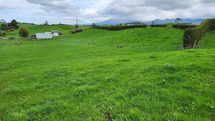 953 Upland Road Egmont Village_26