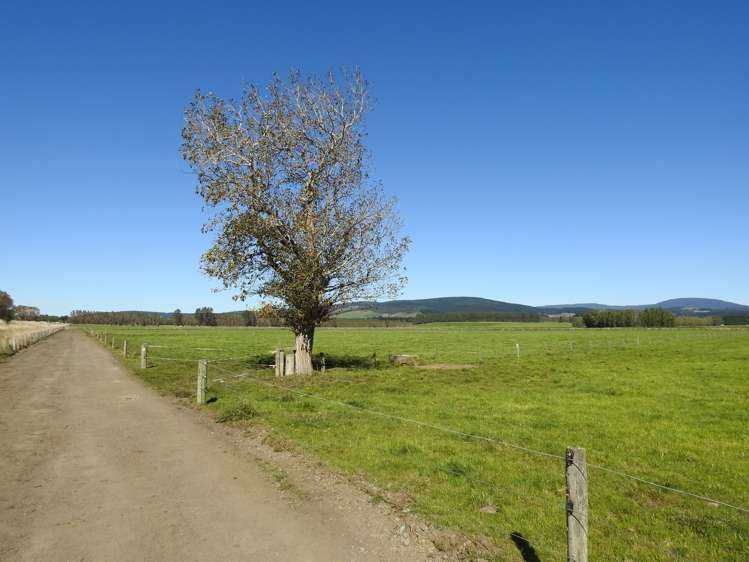 31 Waikouro Wairio Road Otautau_17