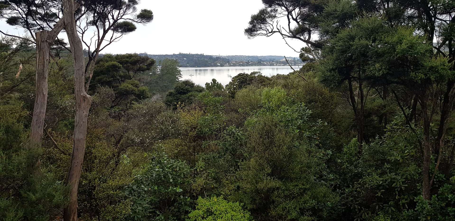 36A Merewhira Road Paremoremo_0