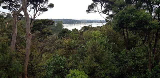 Charming 3BR Home in Serene Paremoremo