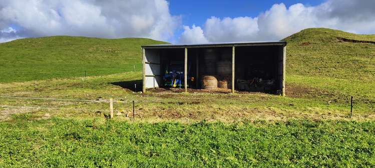 Parihaka Road Pungarehu_6