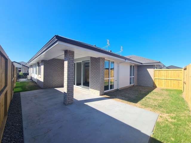 91 Union Drive Papamoa_1