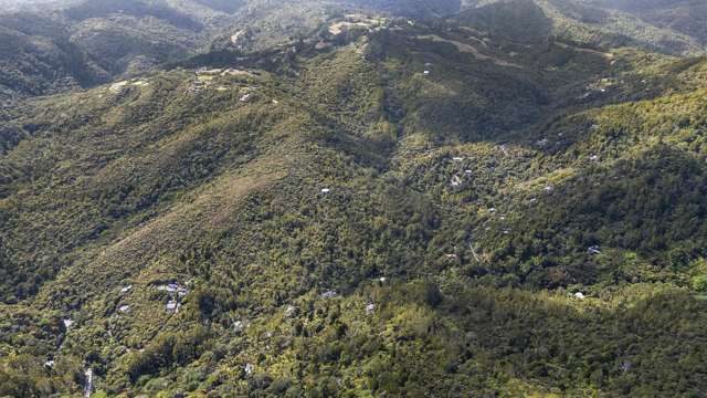 62 Lone Kauri Road Karekare_4
