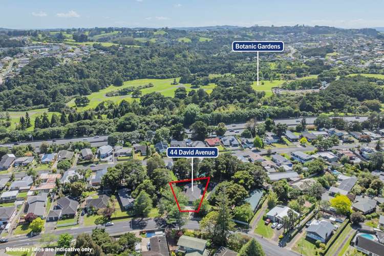 44 David Avenue Hill Park_17