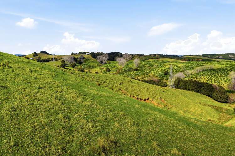 Lot 6 & 7 Otioro Road Topuni_16