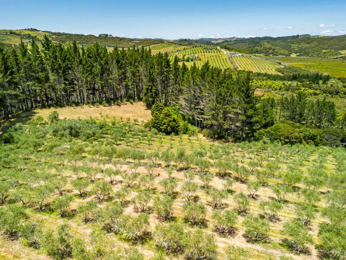 2884A State Highway 10_1