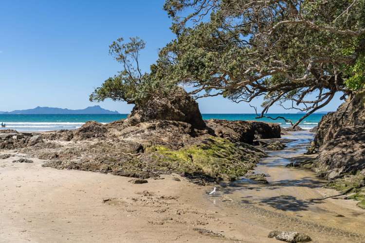 438 Glenmohr Road Waipu_13