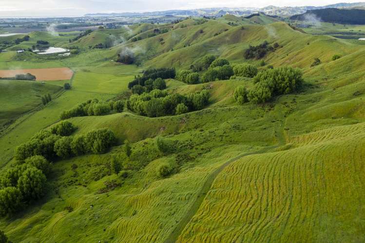 Lavenham Road Waituhi_11