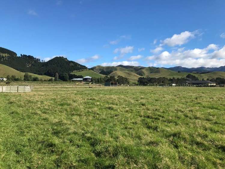 881e Norfolk Road Upper Plain_5