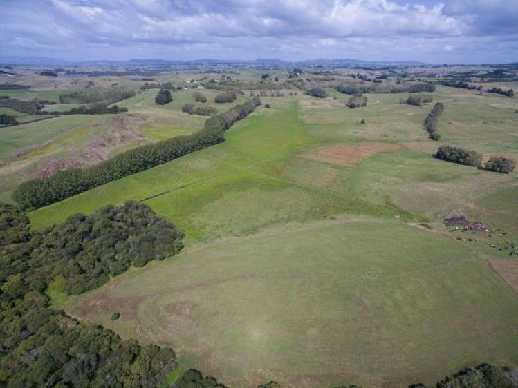 137 Sanson Road Ruawaro_10