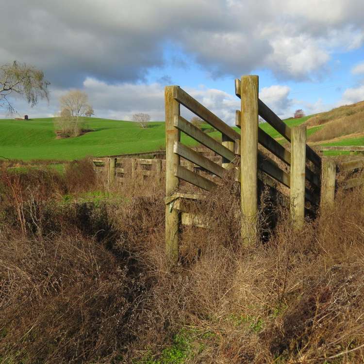 Waitomo Caves Road Waitomo_10