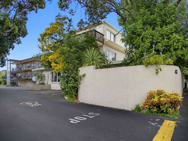 Smart Investment in Mt Albert