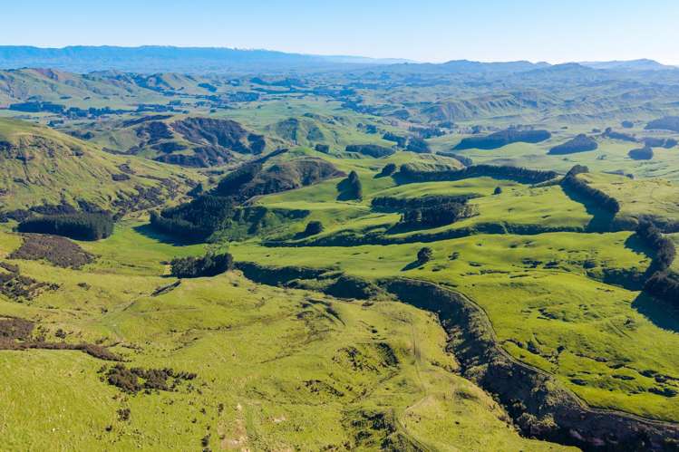 467 Waitahora Valley Road Dannevirke_7