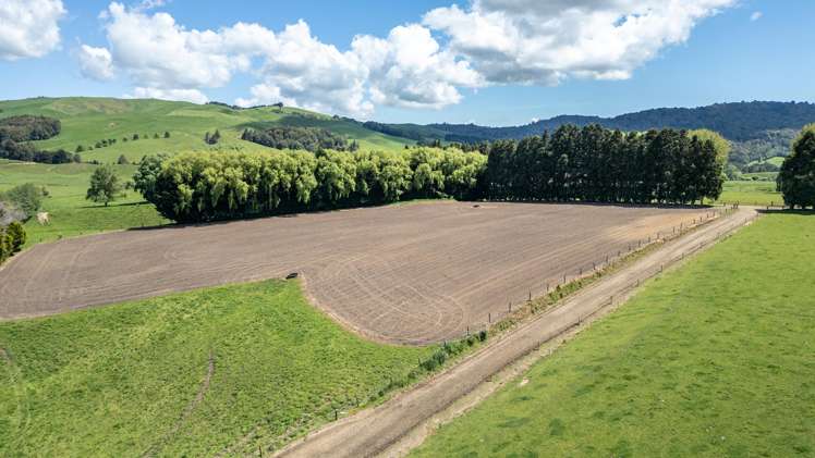 774 Buckland Road Matamata_6