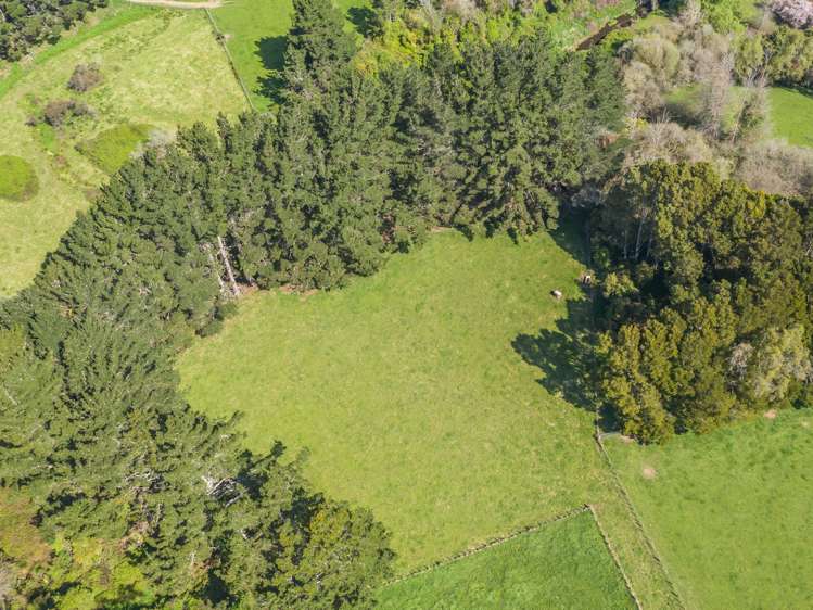 82 Jacksons Road Koputaroa_1