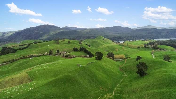 Coates Road Waikite Valley_12