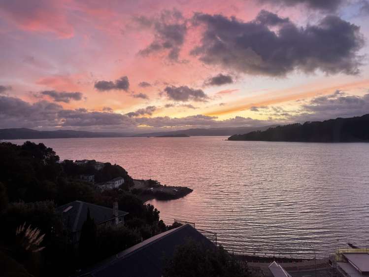 108b Maida Vale Road Roseneath_25