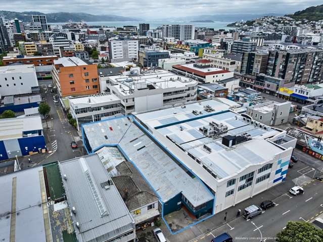Te Aro Mortgagee Sale – Vacant Possession