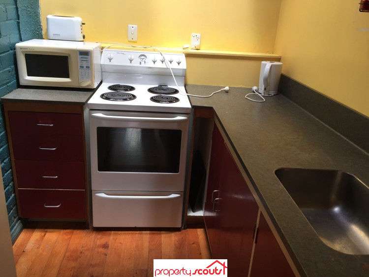 153b Forth Street North Dunedin_8