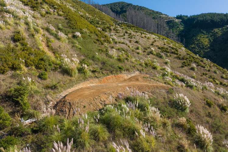 815 Manaroa Road Marlborough Sounds_24