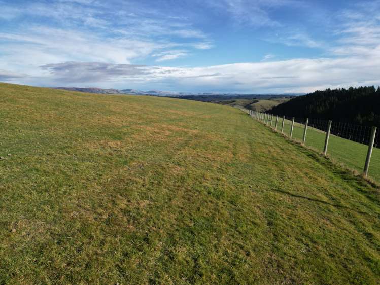 92 Cameron Road Hillend_5