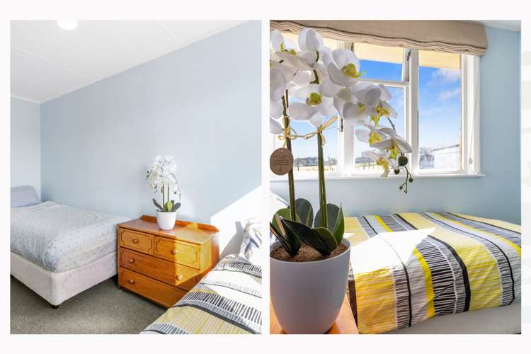 12 Hamilton Street Te Aroha_18