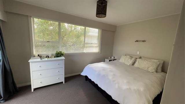 38 Leefield Street Blenheim Central_3