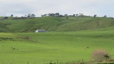 740D Tainui Road_4