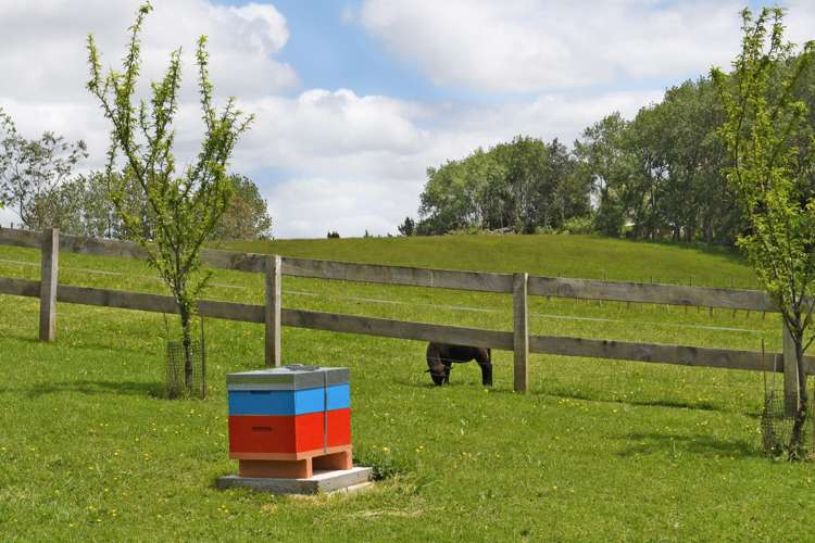 56 Wattle Lane Kaiwaka_16