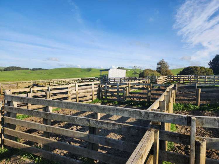 899 Te Akau Road Te Akau_26