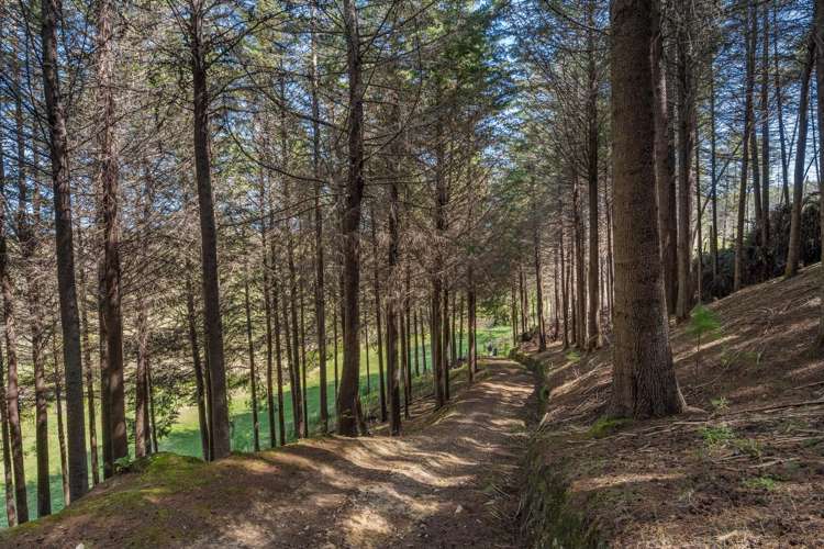 370 Rosedale Road Upper Moutere_37