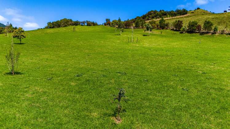 Lot 1 Te Rore Road Kaitaia_10
