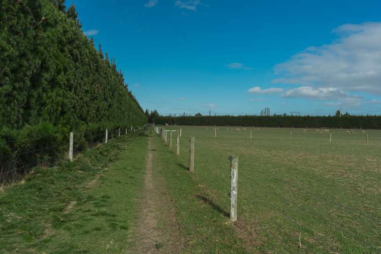 10 Mount Thomas Road Fernside_10