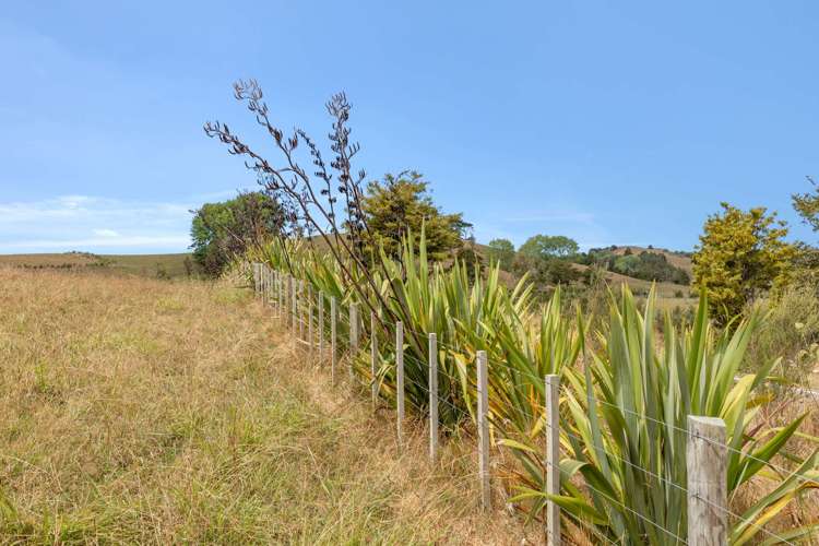 645 West Coast Road Makarau_7