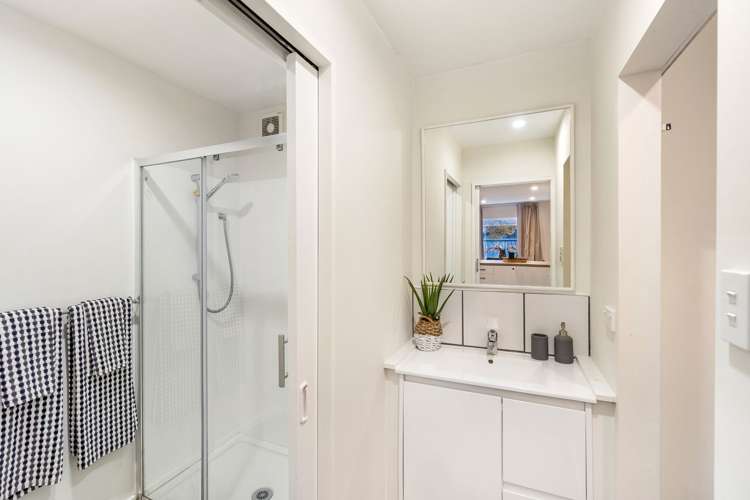 18 Austin Street Sydenham_6