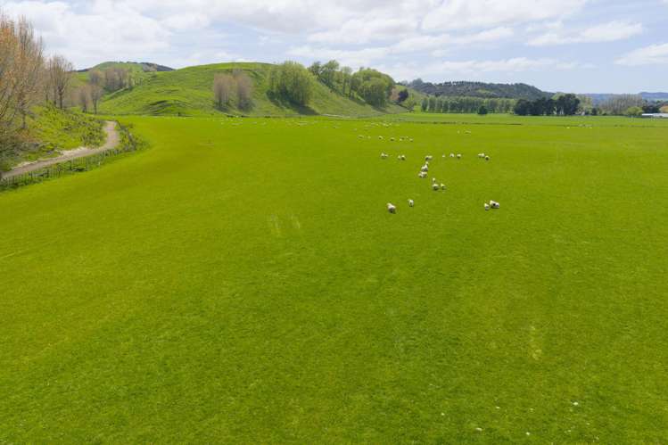 643 a and b Pohangina Road Ashhurst_14