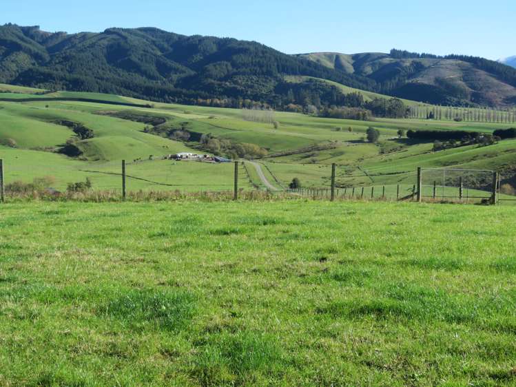 60 Woodside Road Geraldine_12