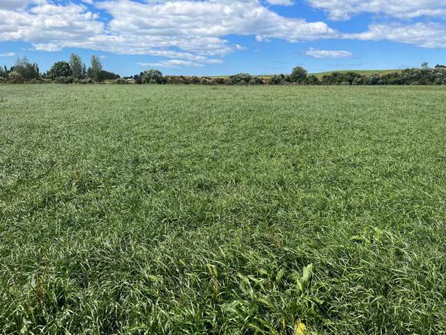 381 Island Stream Road Maheno_1