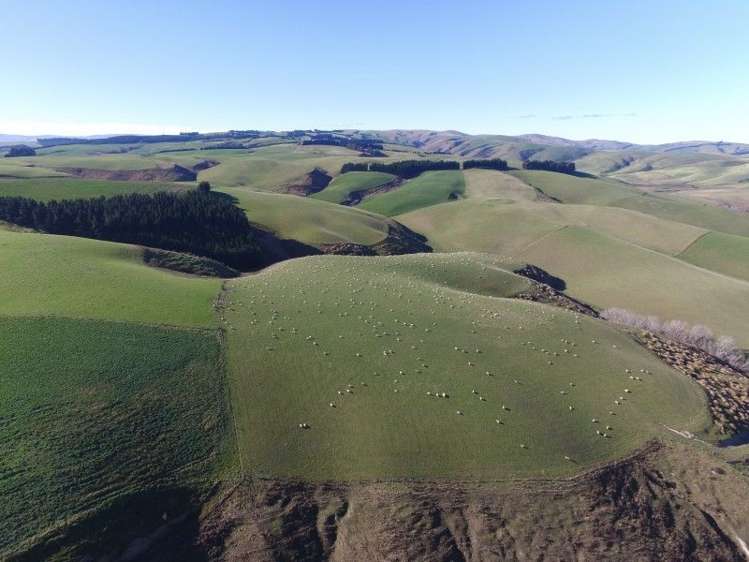 1763 Moa Flat Road West Otago Surrounds_5