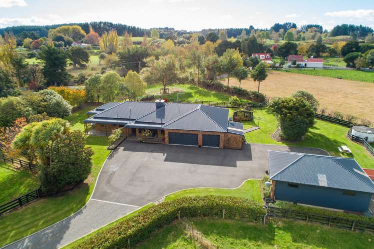 38 Brandon Hall Road Bulls_25