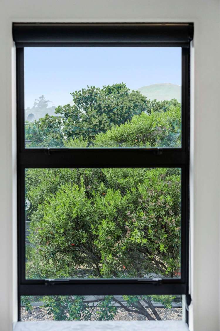 35b Bluegrey Avenue Stonefields_11