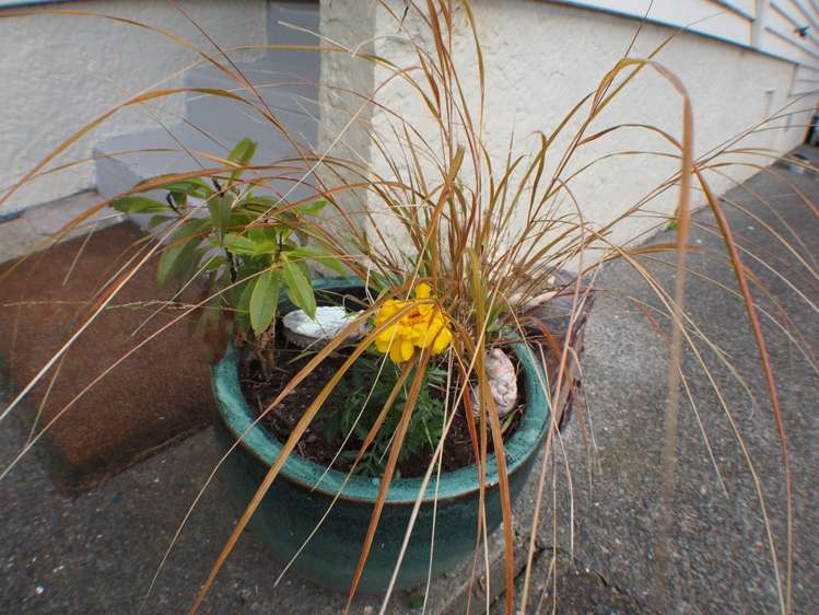 8 Walden Street Strathmore Park_20