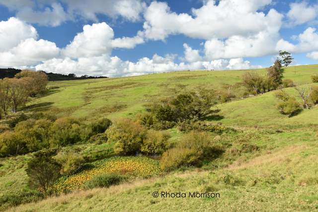 153 Pahi Road Paparoa_4