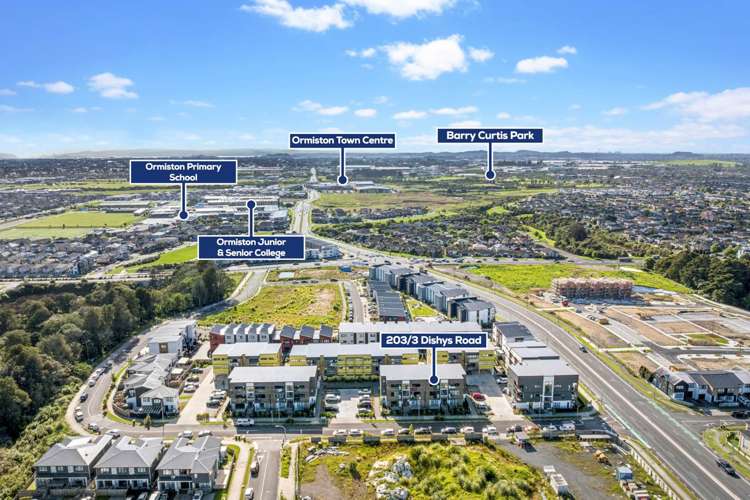 203/3 Dishys Road Flat Bush_11