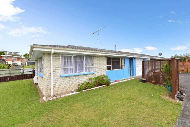 38a Livingstone Avenue Nawton_8