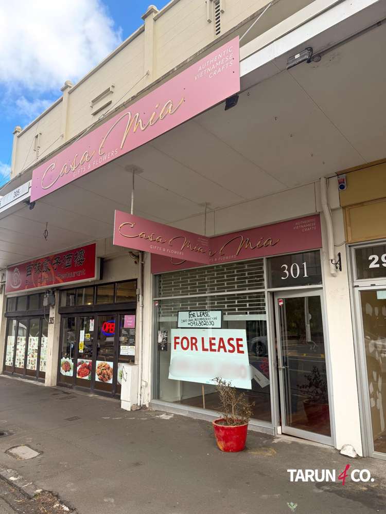 301 Dominion Road Mount Eden_7