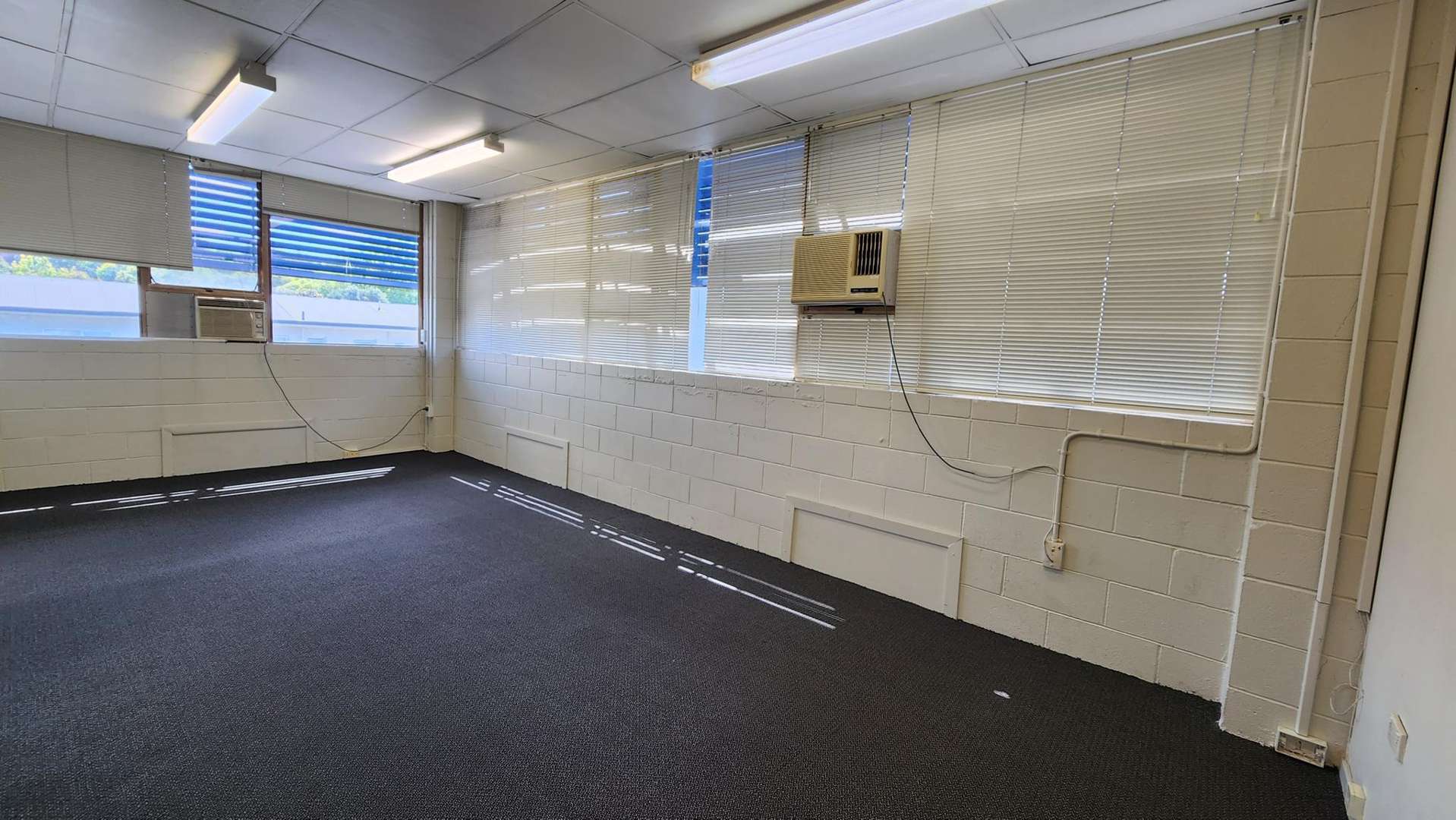 Level 1 Studio/123 Manukau Road Epsom_0