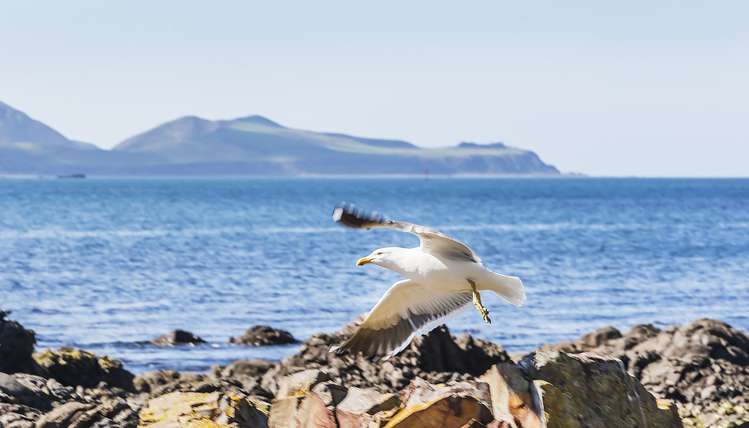 133 Breaker Bay Road Breaker Bay_0